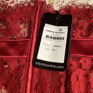 NEWT CITY CHIC RED LACE GARTER BELT.